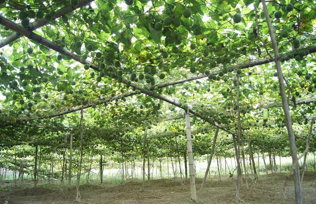 201807090956107250 201807090956107250